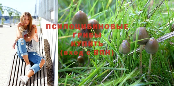 mdpv Верея
