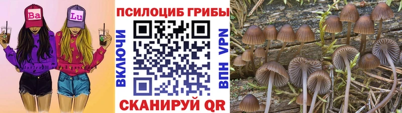 Галлюциногенные грибы Magic Shrooms  Иркутск 
